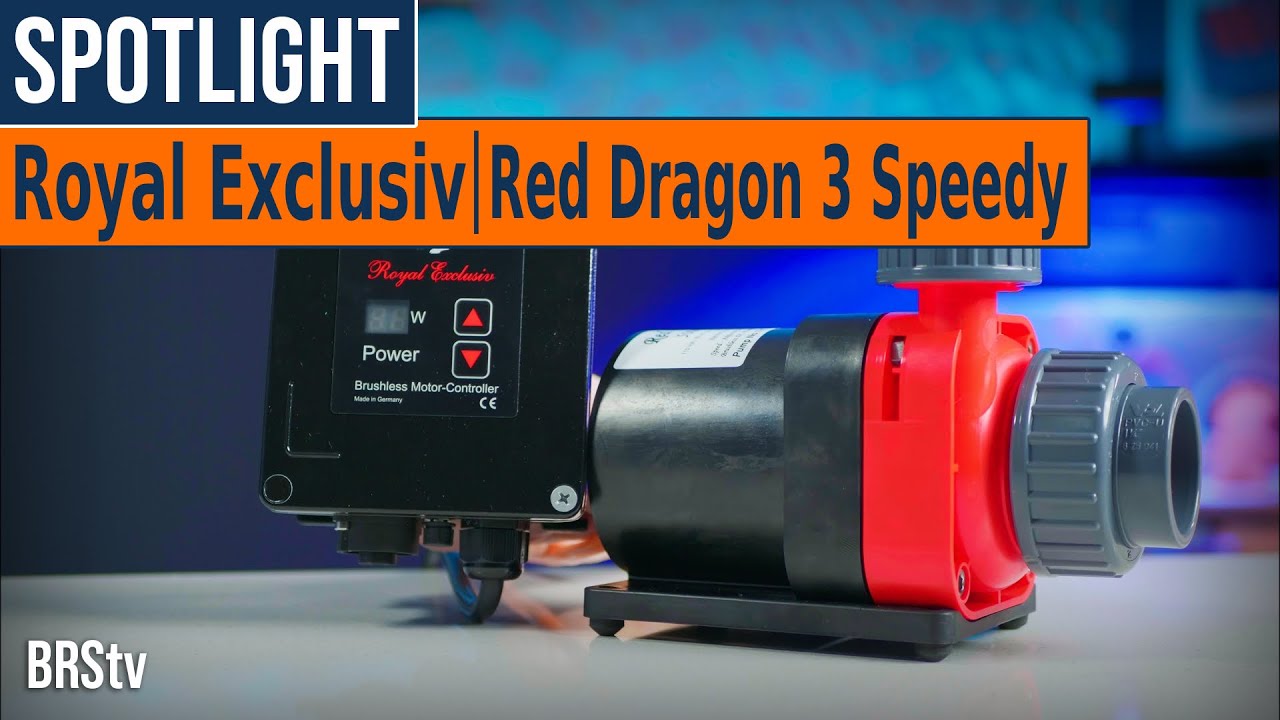 Give Your Reef Tank the Heart of a DRAGON! Royal Exclusiv Red Dragon 3 Speedy Pumps