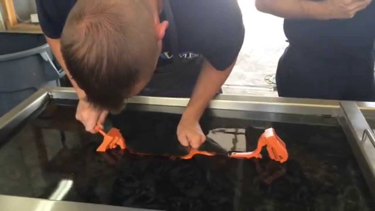Hydro dipping a Hunting Bow