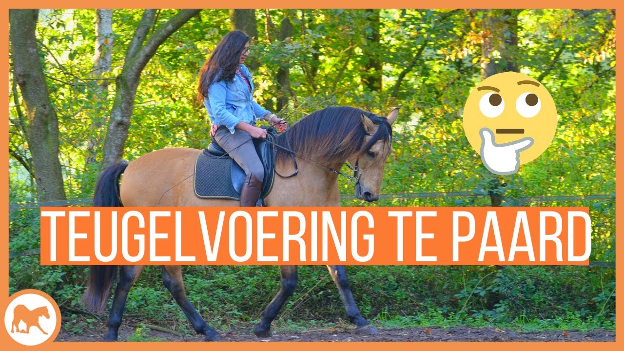 teugelvoering tijdens het rijden