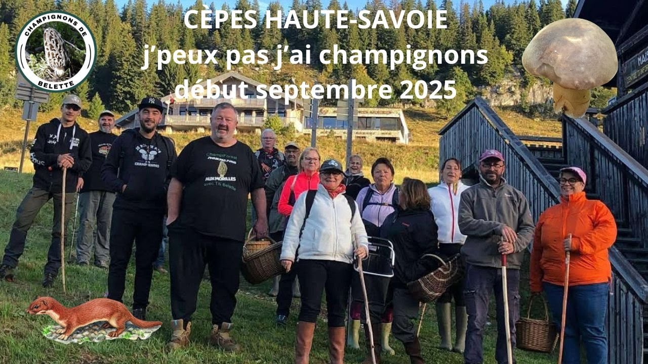 𝗖È𝗣𝗘𝗦 𝗛𝗔𝗨𝗧𝗘-𝗦𝗔𝗩𝗢𝗜𝗘 𝗱é𝗯𝘂𝘁 𝘀𝗲𝗽𝘁𝗲𝗺𝗯𝗿𝗲 𝟮𝟬𝟮𝟱 🌲🍄‍🟫🌲#mushroom #champignons #fungi #champignons #foret