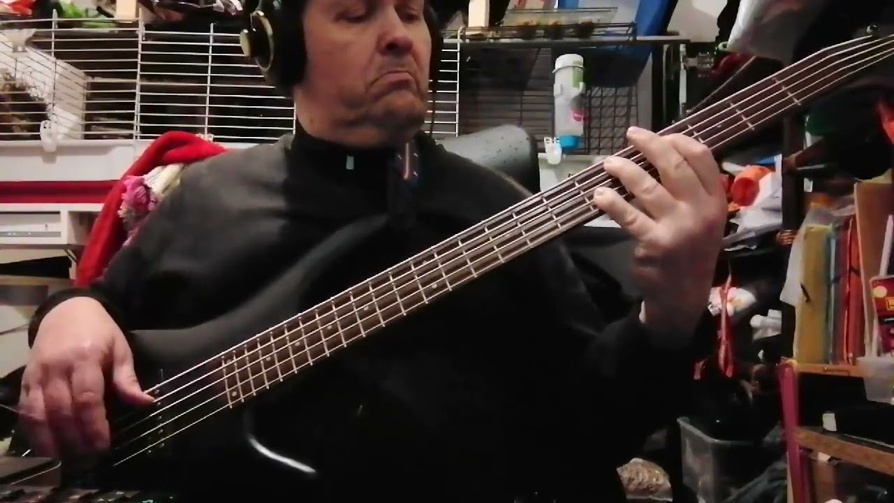 Ozzi Osbourne - Dreamer (Didier Cover Bass)