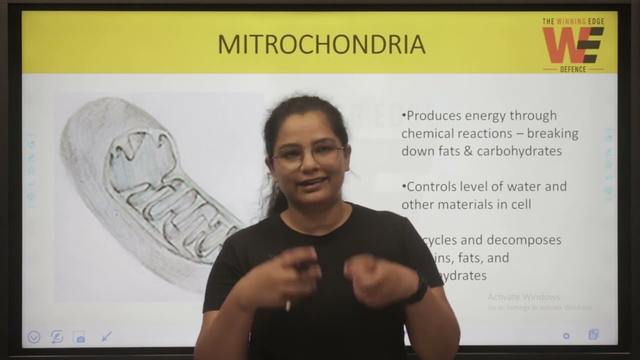 Sainik School Class 9 Science - Cell Structure & Function | Sainik School Online Coaching | RMS