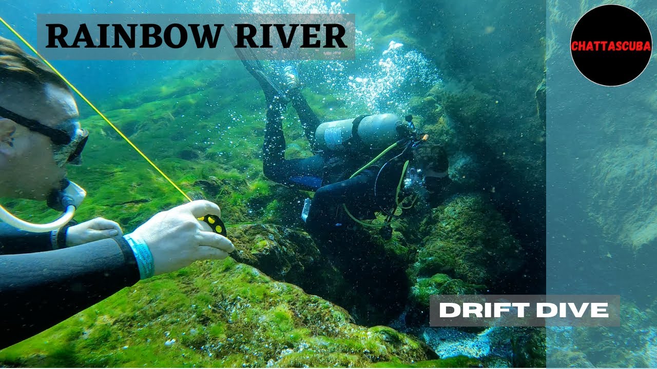 Rainbow River Drift Dive