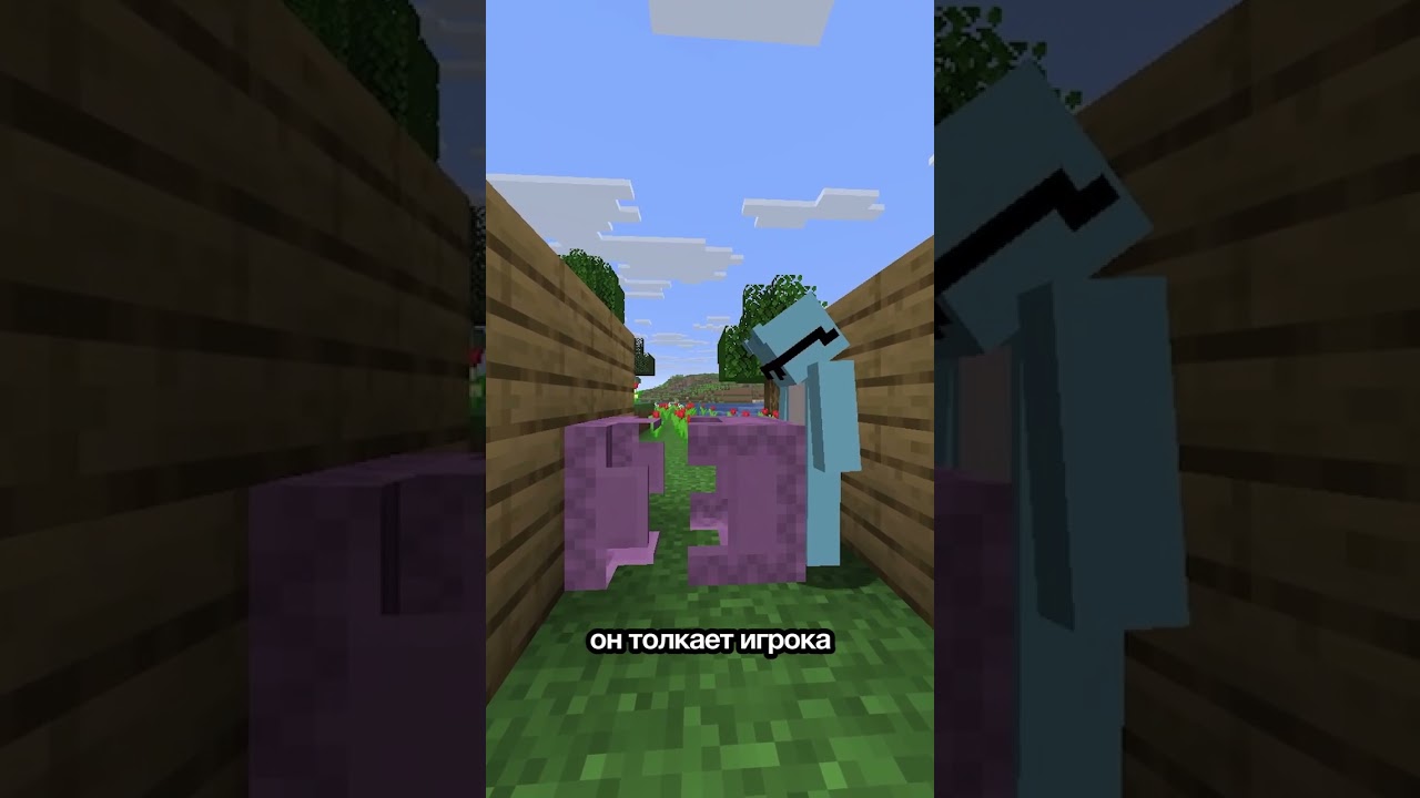 Секретик шалкера! #minecraft # #майнкрафт