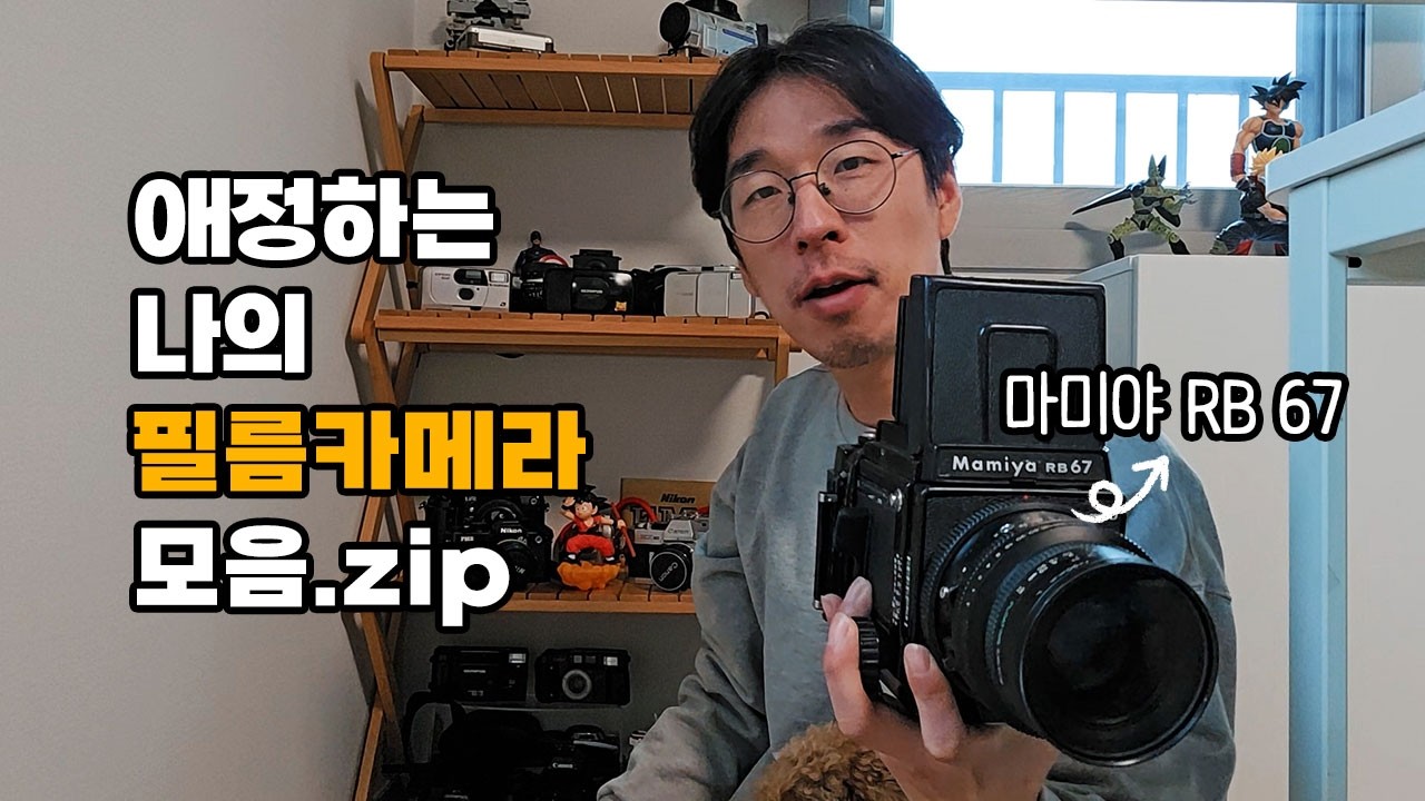 8년차 필름유저가 수집한 애정하는 필름카메라(별 필름사진) 소개