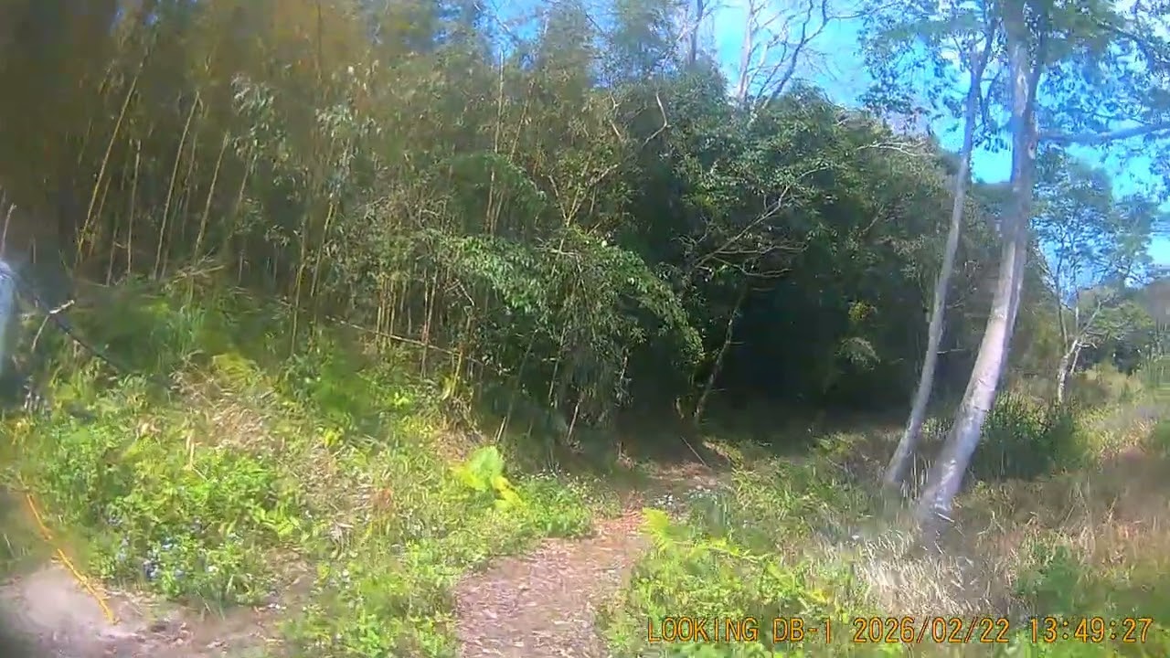 20260222 東麓瀑布 水車寮 東眼山公園 復興戰道559 林道 東眼出發