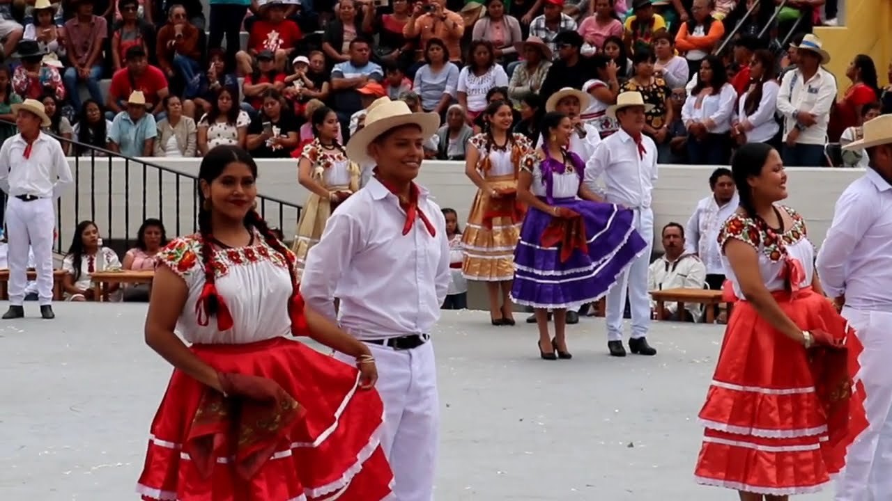 Sones y Chilenas de San Juan Cacahuatepec - Guelaguetza Zimatlan