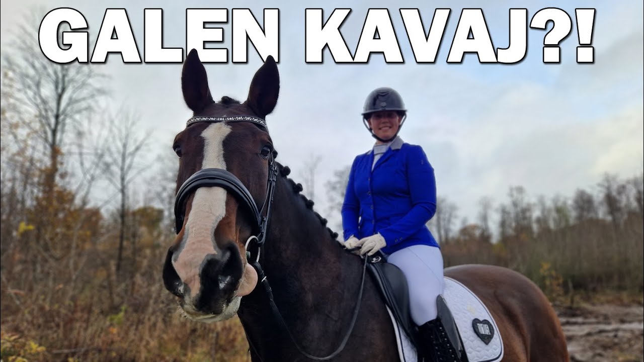 KRIS I FÖRHÅLLANDET - Tävlingsvlogg
