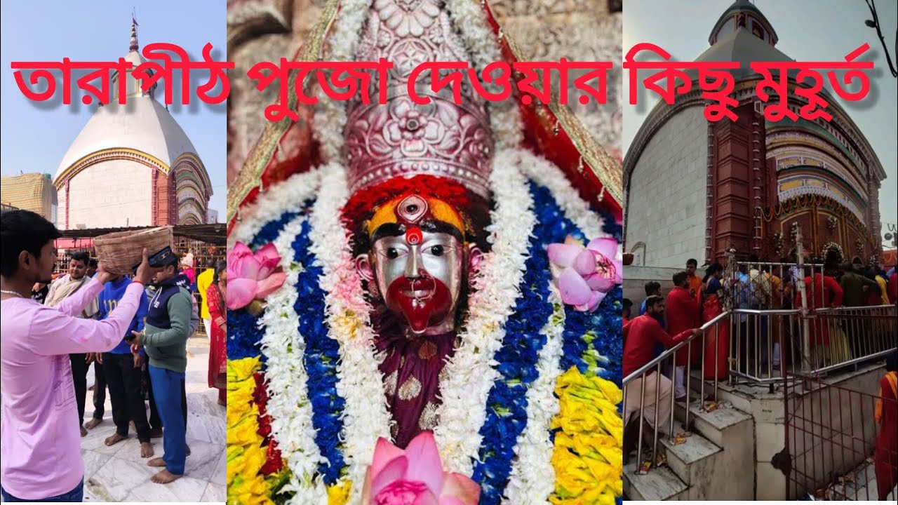 তারাপীঠ পুজো দেওয়ার কিছু মুহূর্ত Pat 1 #viral #Subscribe #tarapith #taramaa #video 