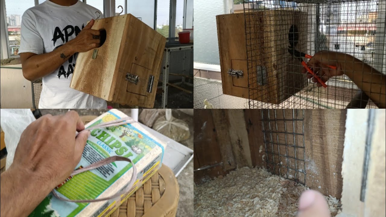 Installing nest box (breeding box) on my conure cage setup || How to set nest box in bird cage?