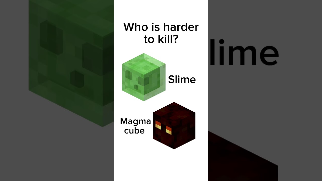 Slime VS magma cube