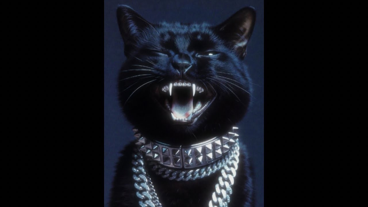 [FREE] Nemzzz x Dark Sample Hoodtrap Type Beat 