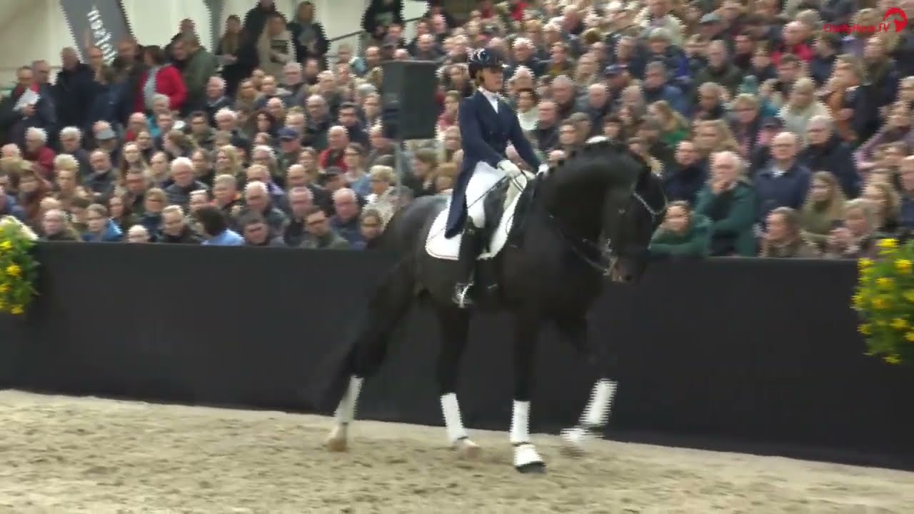 Fontaine TN (Finest x Samarant) & Evi van Rooij