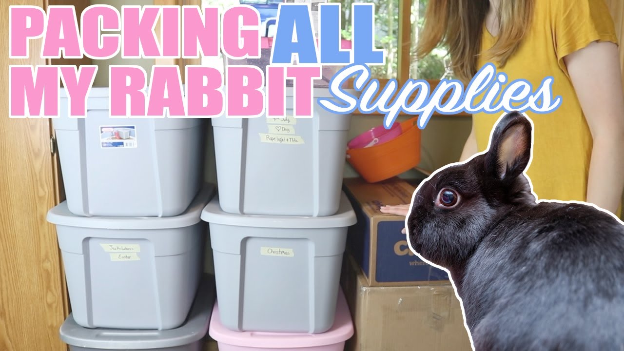 Packing ALL My Rabbit Supplies 🙈 I have too much stuff...