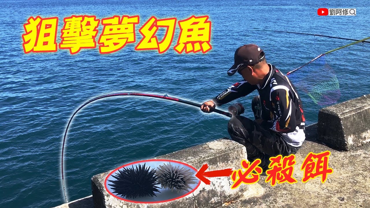 【重磯】特地準備必殺餌來釣魚，在堤防上打重磯狙擊夢幻魚是否能順利成功？《花蓮東堤》2022/06/04、2022/06/05