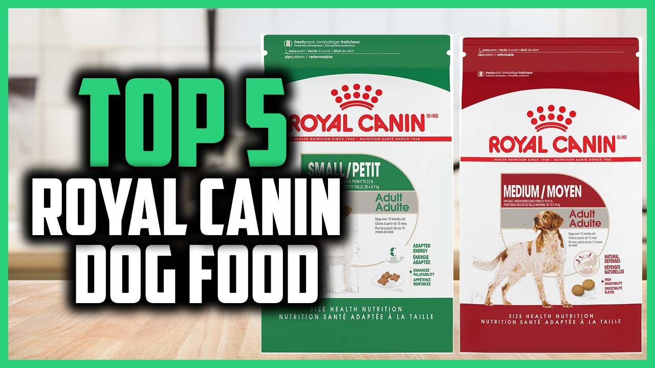 ✅ Топ-5 лучших обзоров кормов для собак Royal Canin 2024 года