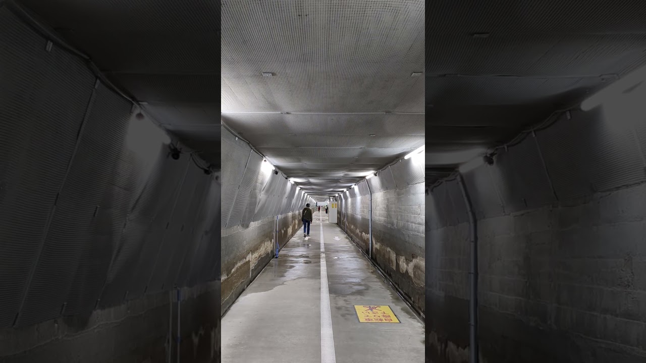 Underpass in Tokyo #japan #tokyo #underpass