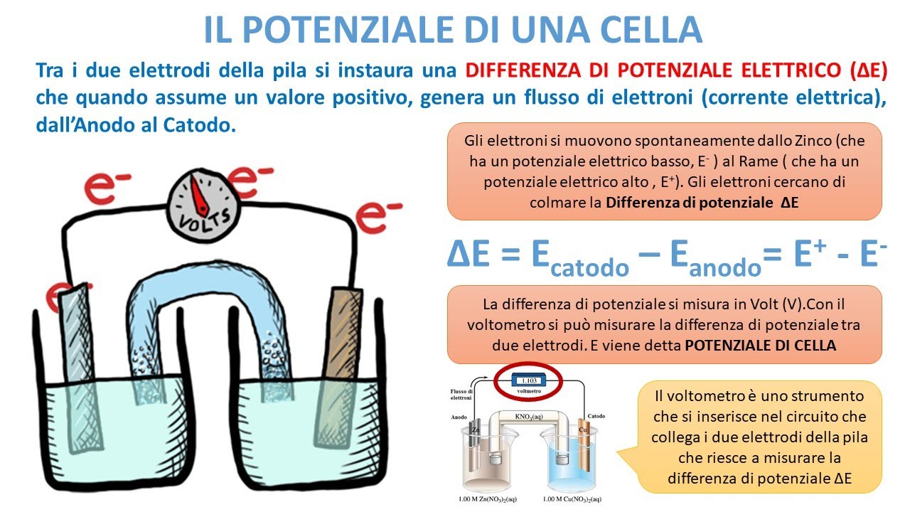 IL POTENZIALE DI UNA CELLA