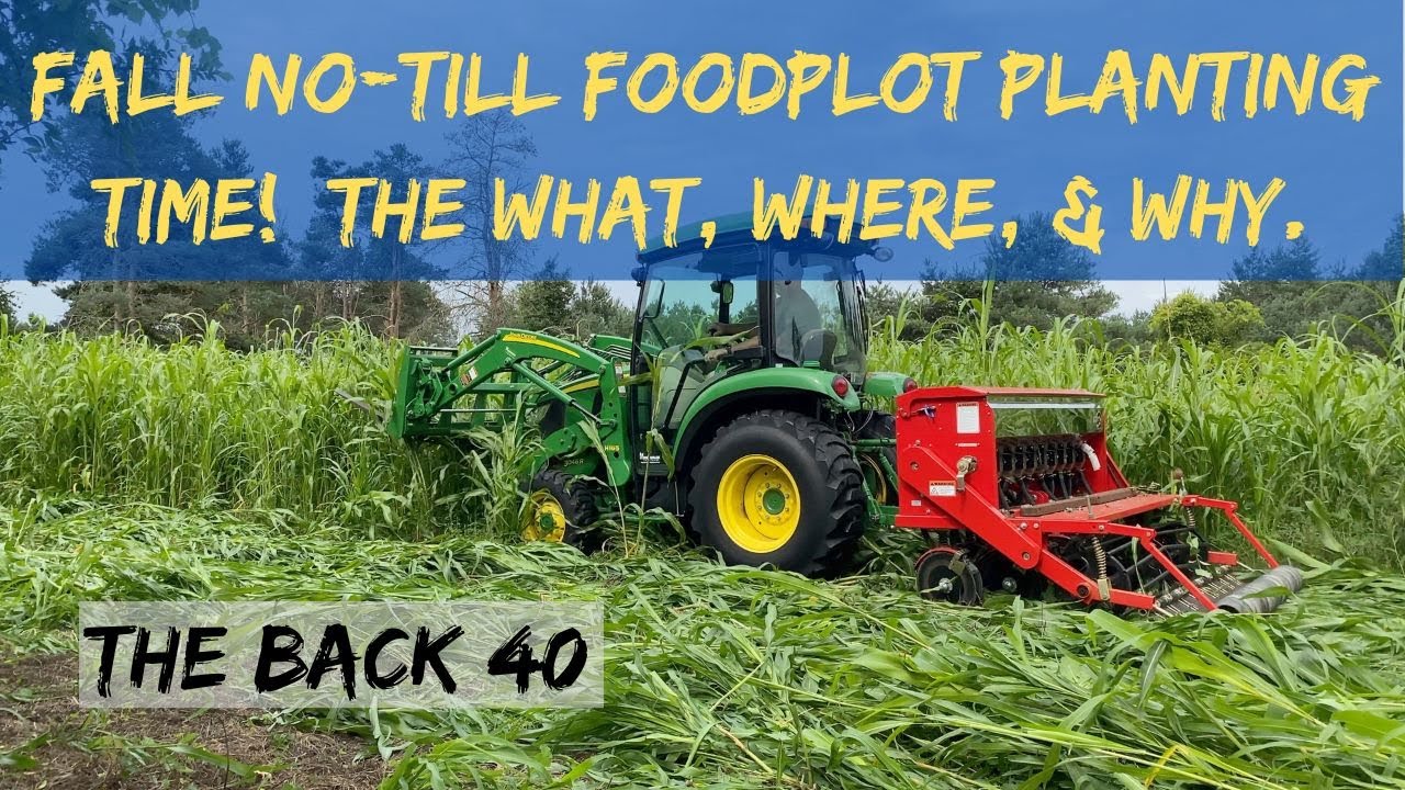 Fall Foodplot Planting Options
