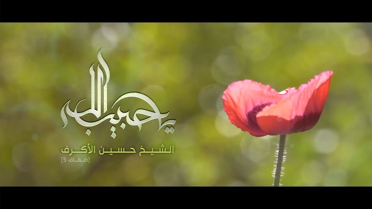 يا حبيب الله | الشيخ حسين الأكرف