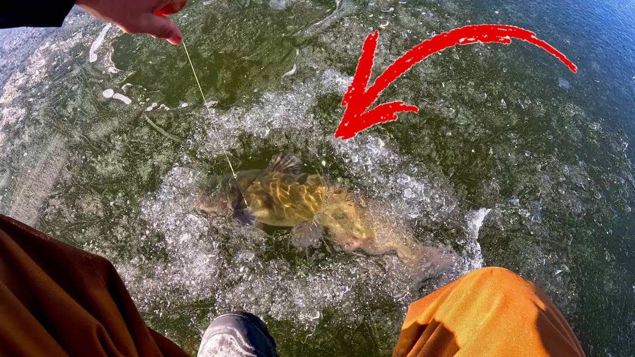 FIRST EARLY ICE FISHING For Big Fish!