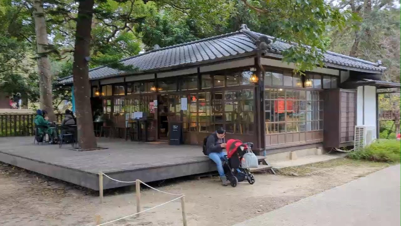 60歲阿伯-新竹公園迷人！多元之美影片(11月系列四)