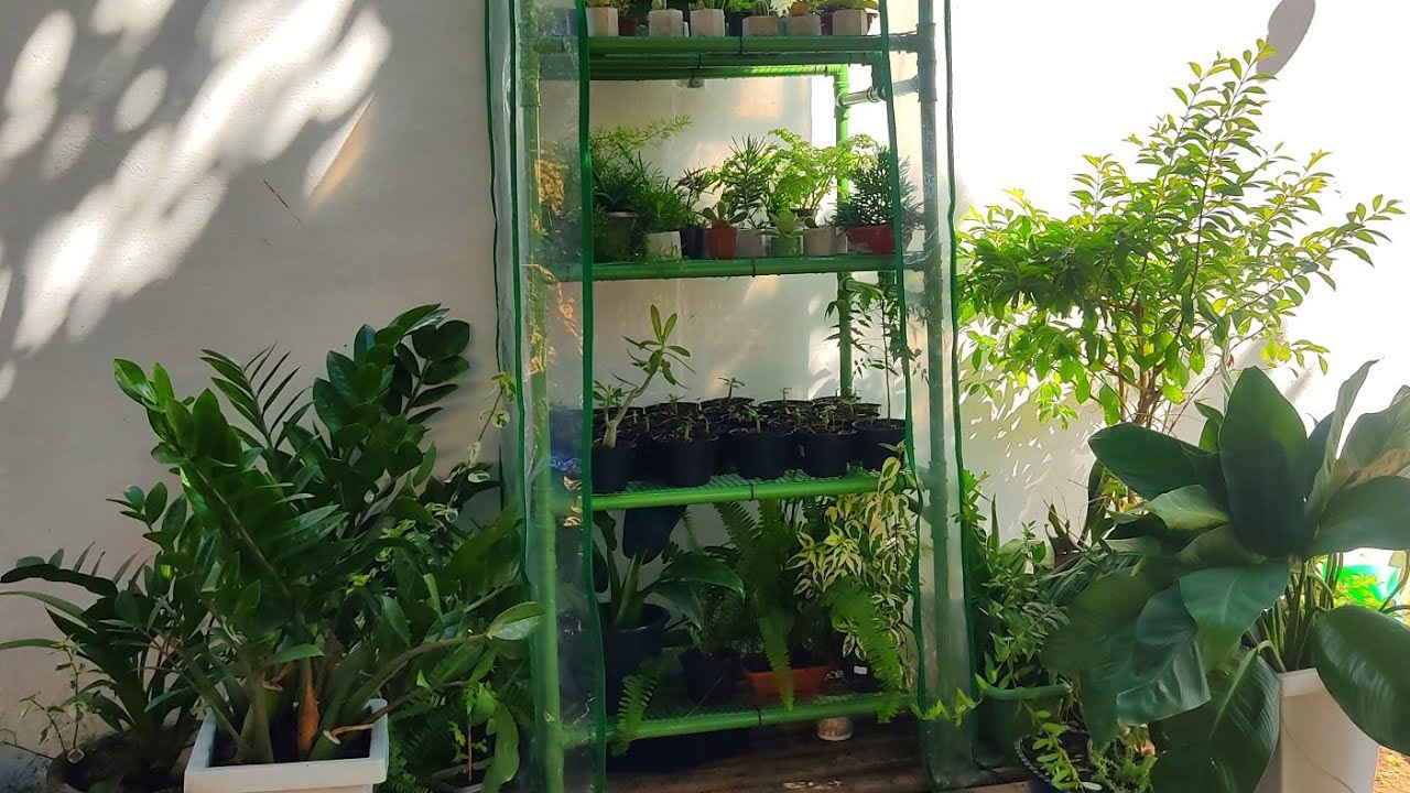 Mini estufa dom&eacute;stica modelo 4p com capa anti uv para plantas