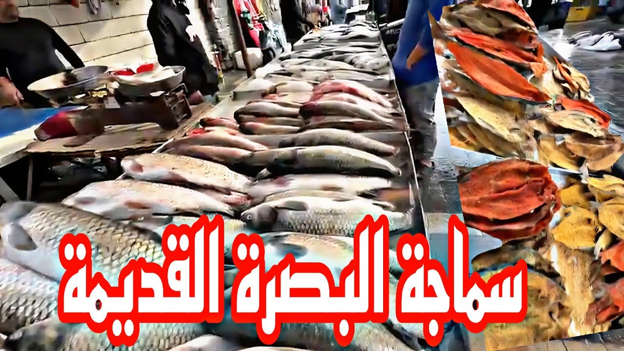 سوق البصرة القديمة سماجة البصرة مع الأسعار مصموطة العيد #أحمد_مهدي 
