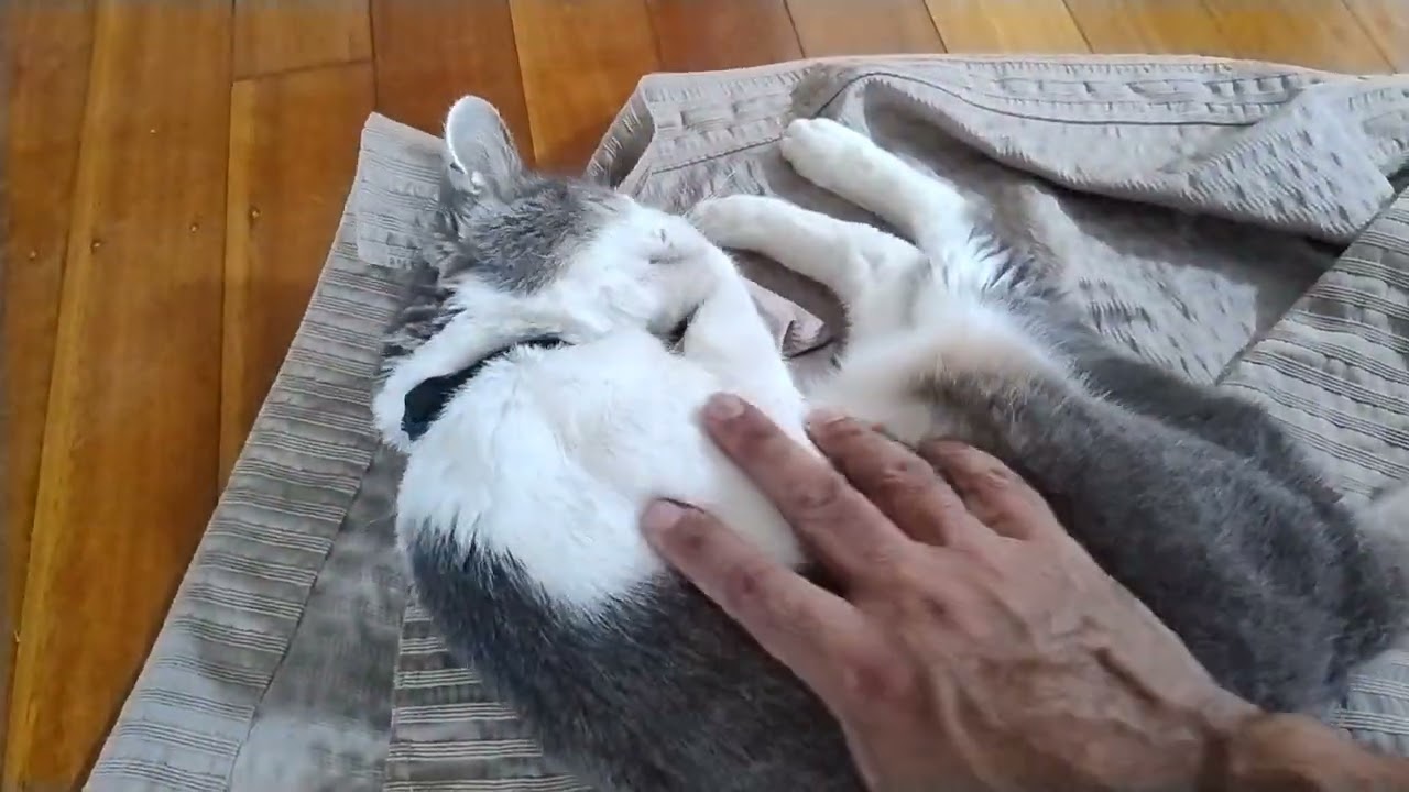 Maggie