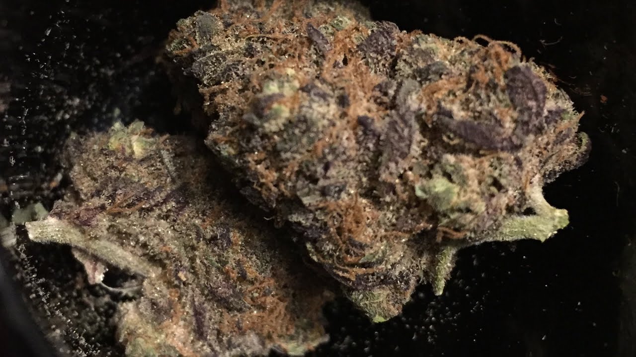 Berry Punch Strain Review