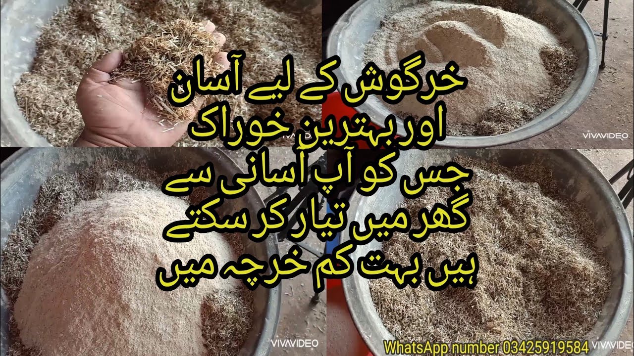 Rabbits feed video part 3 خرگوش کے لیے آسان اور بہترین خوراک جس کو آپ آسانی سے گھر میں تیار کر سکتے