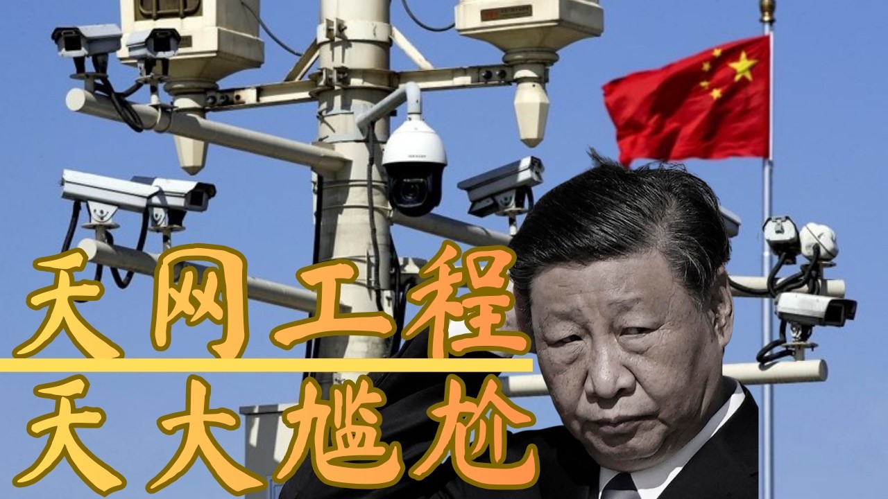 特别直播：天网工程｜天大尴尬