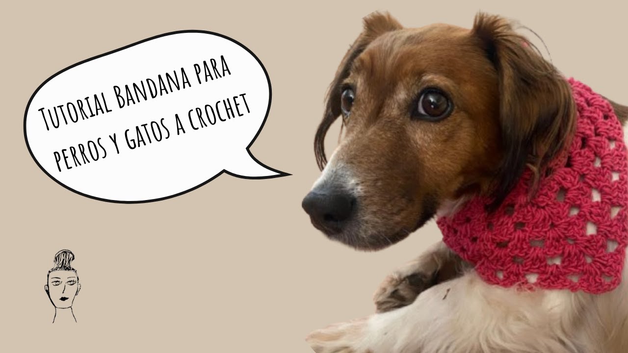 Bandana tejida a crochet para perros y gatos. Todas las tallas, tutorial para zurdos
