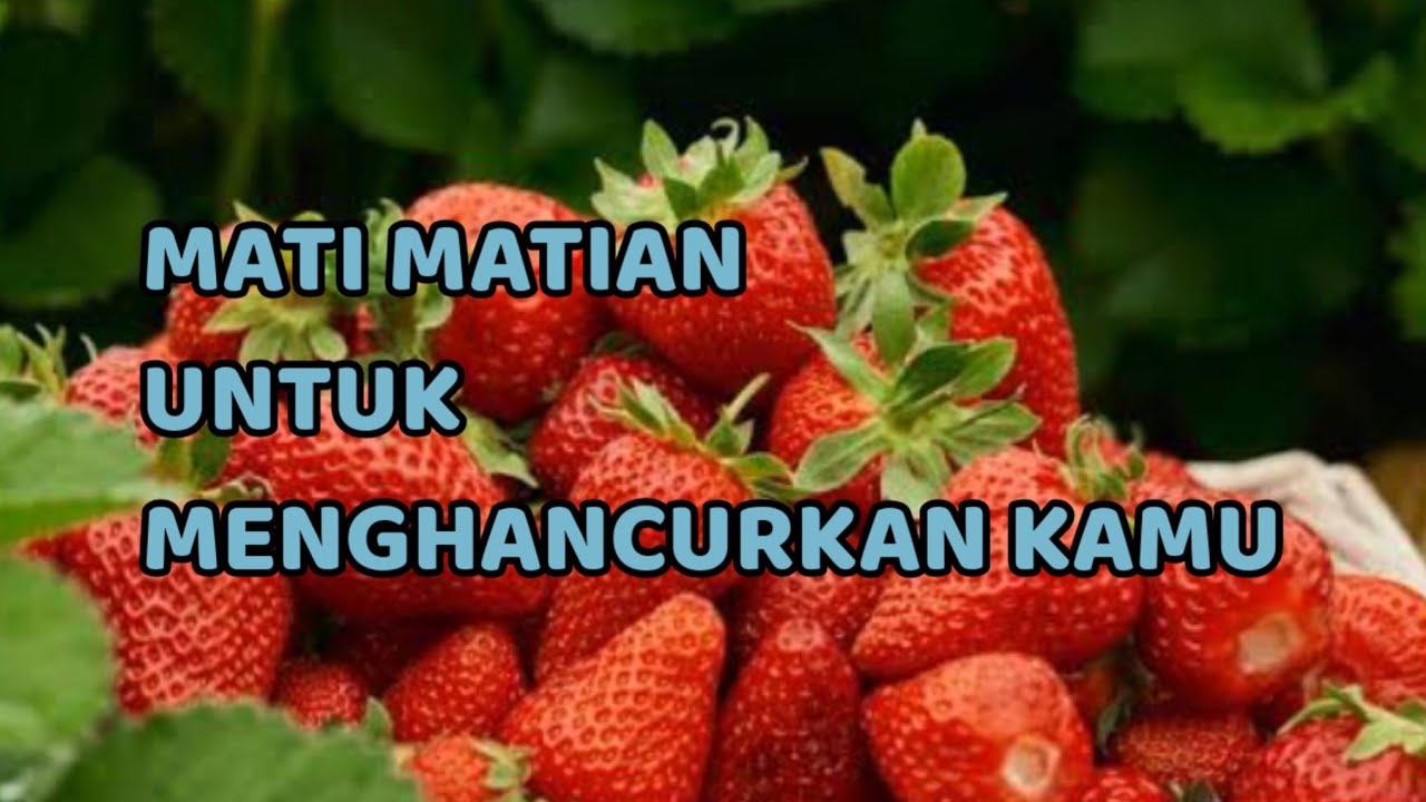 🎆 MATI2AN UNTUK MENGHANCURKAN KAMU 🎆