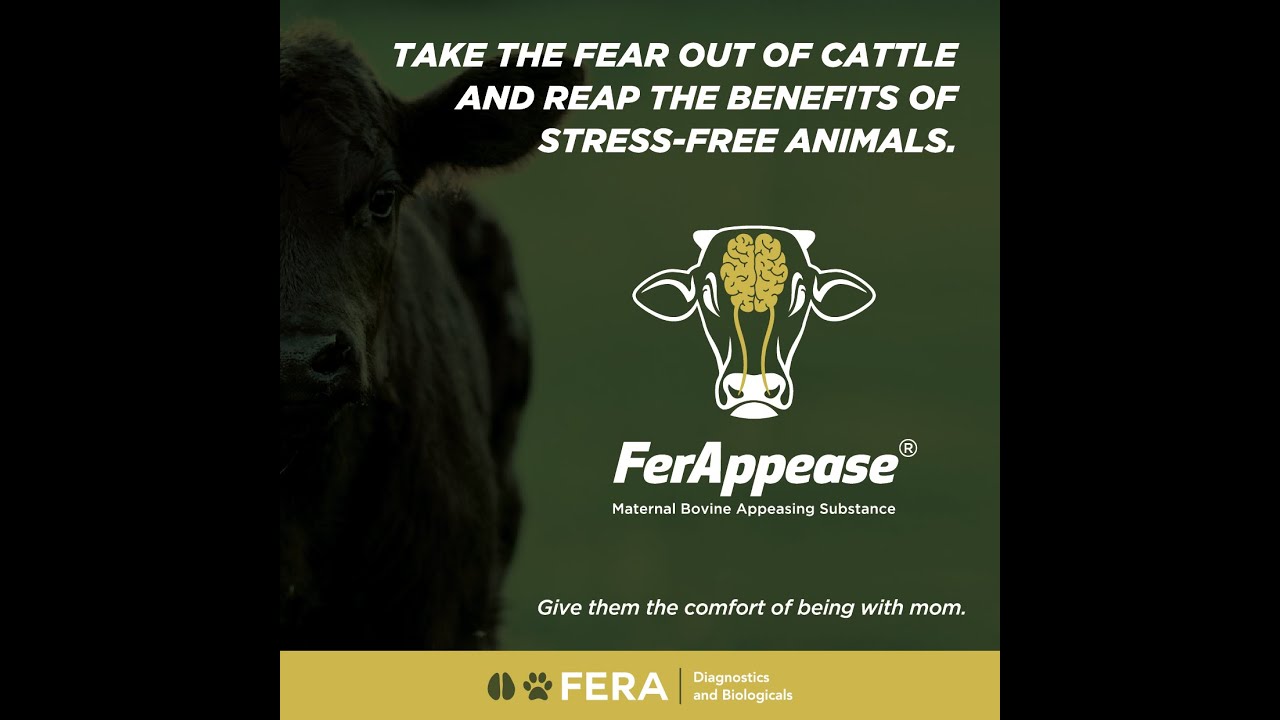 FerAppease is very easy to apply.