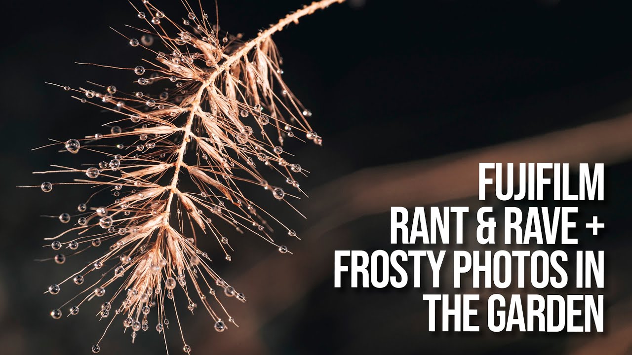Fujifilm Rants & Raves + Frosty Photos in the Garden