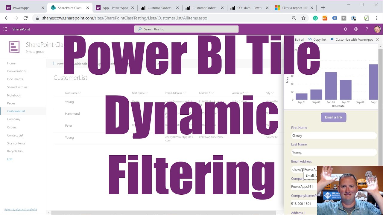 PowerApps Power BI Integration Dynamic Filtering