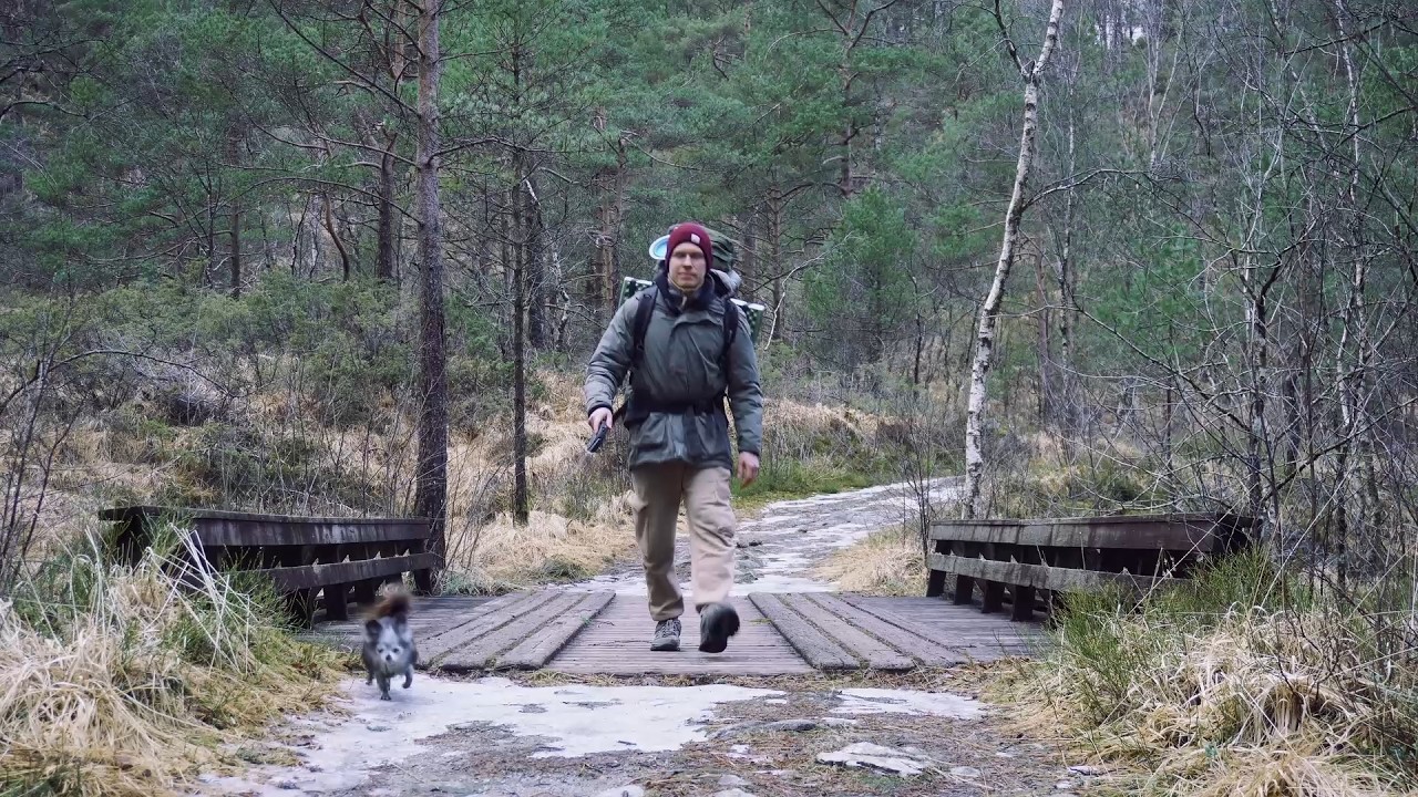 Winter Camping in a Hot Tent with my Dog