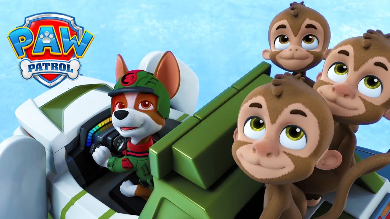 ระวังเสือเขี้ยวดาบ! 🐯  - PAW Patrol ภาษาไทย - การ์ตูนสำหรับเด็ก