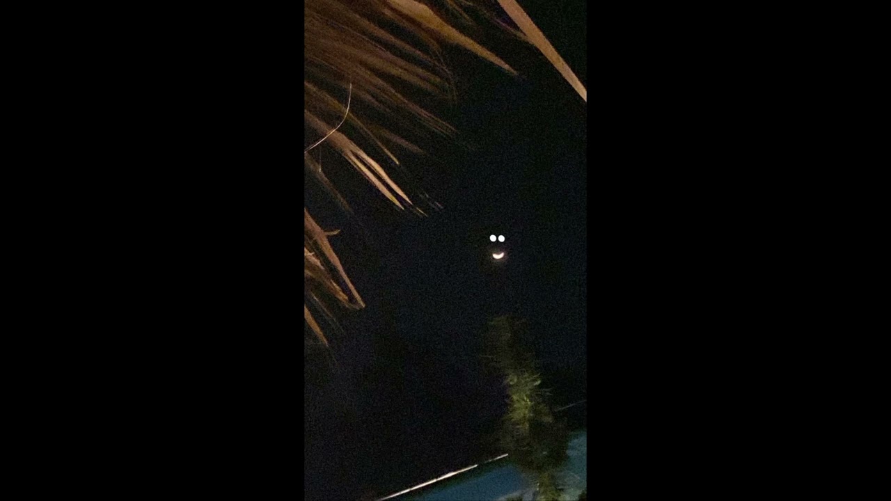 RAPIN  X Lil Yeman  -  Want Told     @yeman6sr604