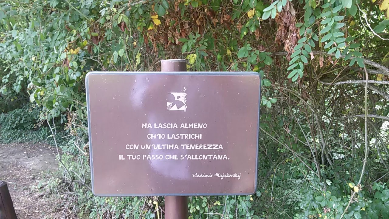 Amami - Canto della Fraternità di Romena di Antonio Salis