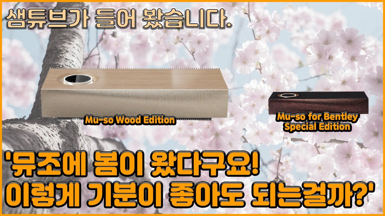 뮤조2 우드 에디션 '뮤조에 봄이 왔다구요~'