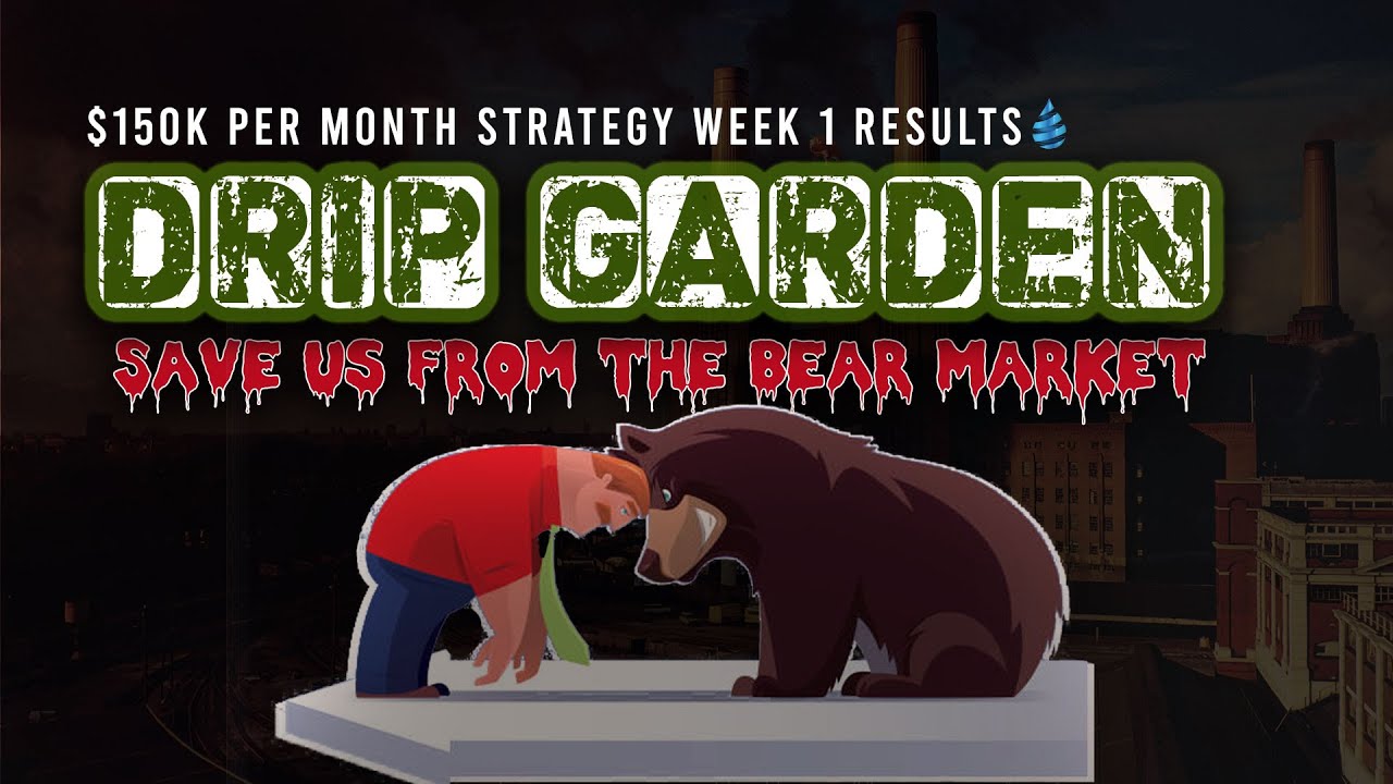 Drip Garden $150k Per Month Week 1 Strategy Results. Can Drip Garden Save Us From the Bear Market?