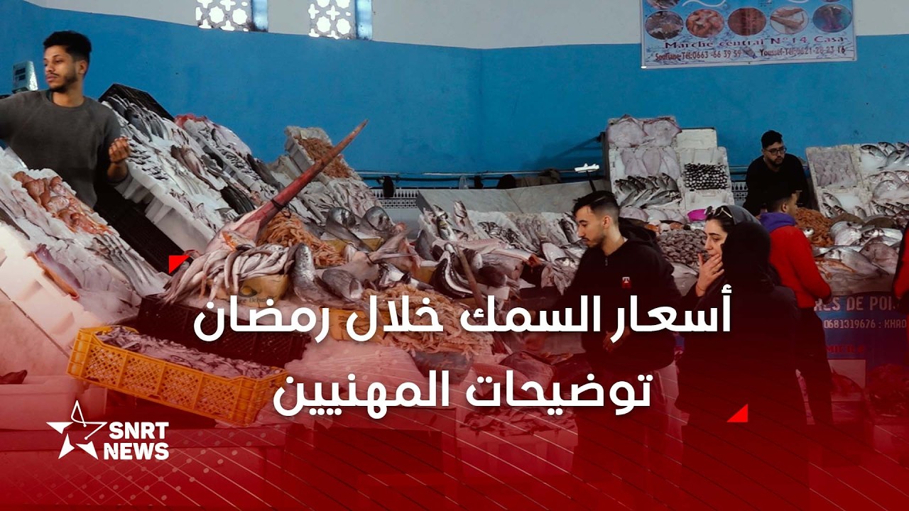 جولة بسوق السمك.. توضيحات المهنيين بخصوص الأسعار