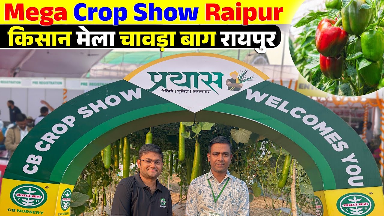 किसान मेला / Crop Show | Mega Crop Show 2024 | चावड़ा बाग फसल प्रदर्शनी रायपुर