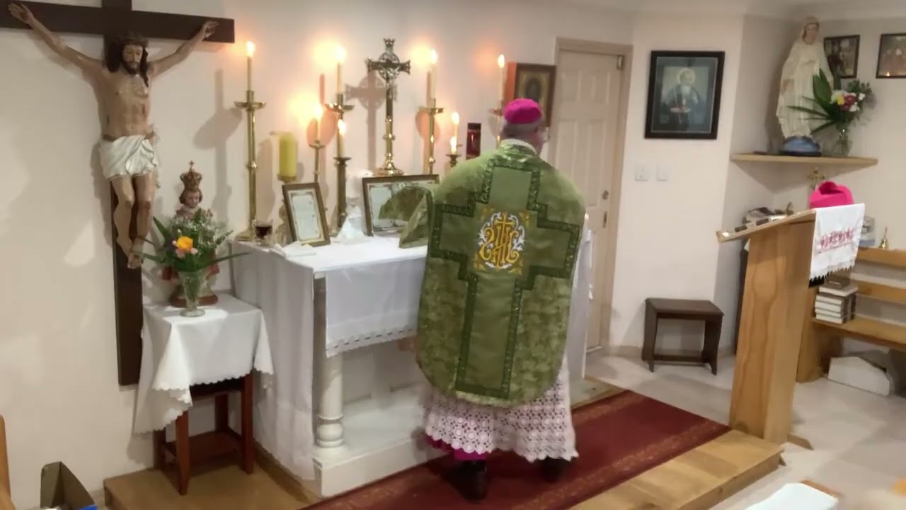 Twenty-third Sunday after Pentecost 