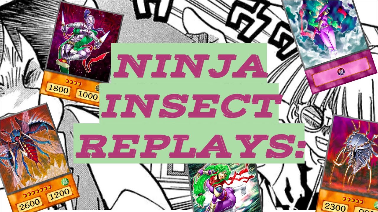 Seeing is Believing - NINJA INSECTS Goat Format Replays