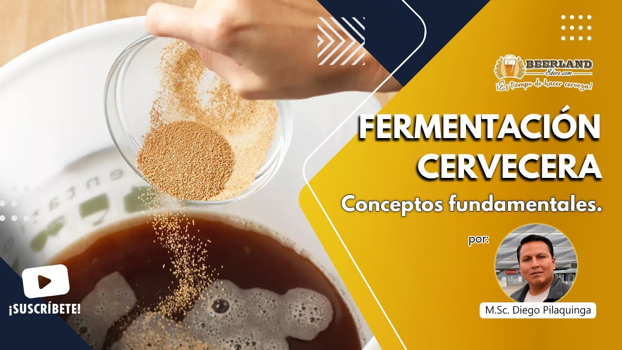 Fermentaci&oacute;n Cervecera