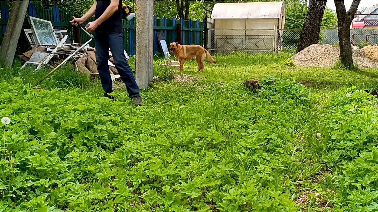 1 Hour of Grass Cutting in 1,5 Minutes