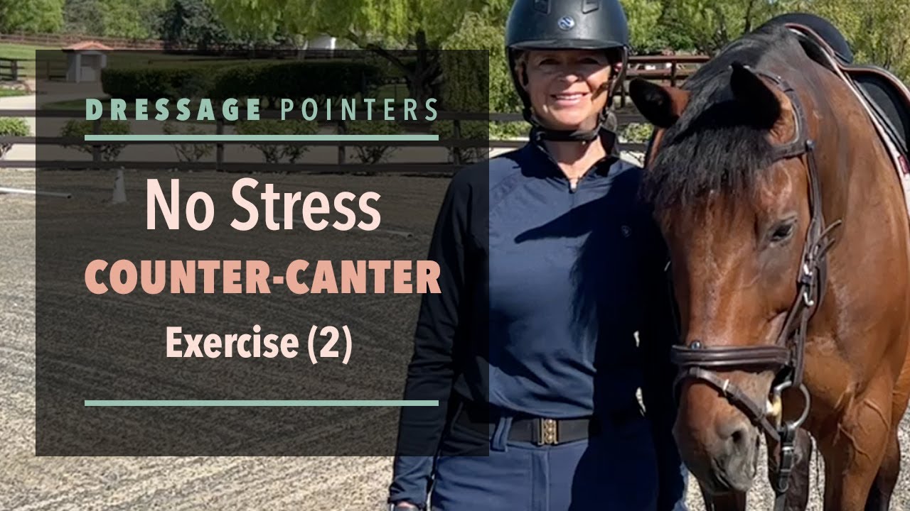Dressage Pointer: No Stress Counter-Canter Exercise (2)